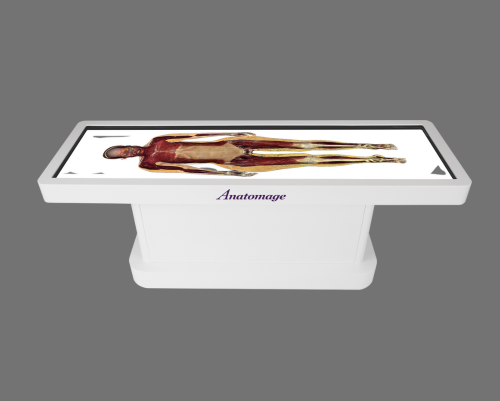 Anatomage Table