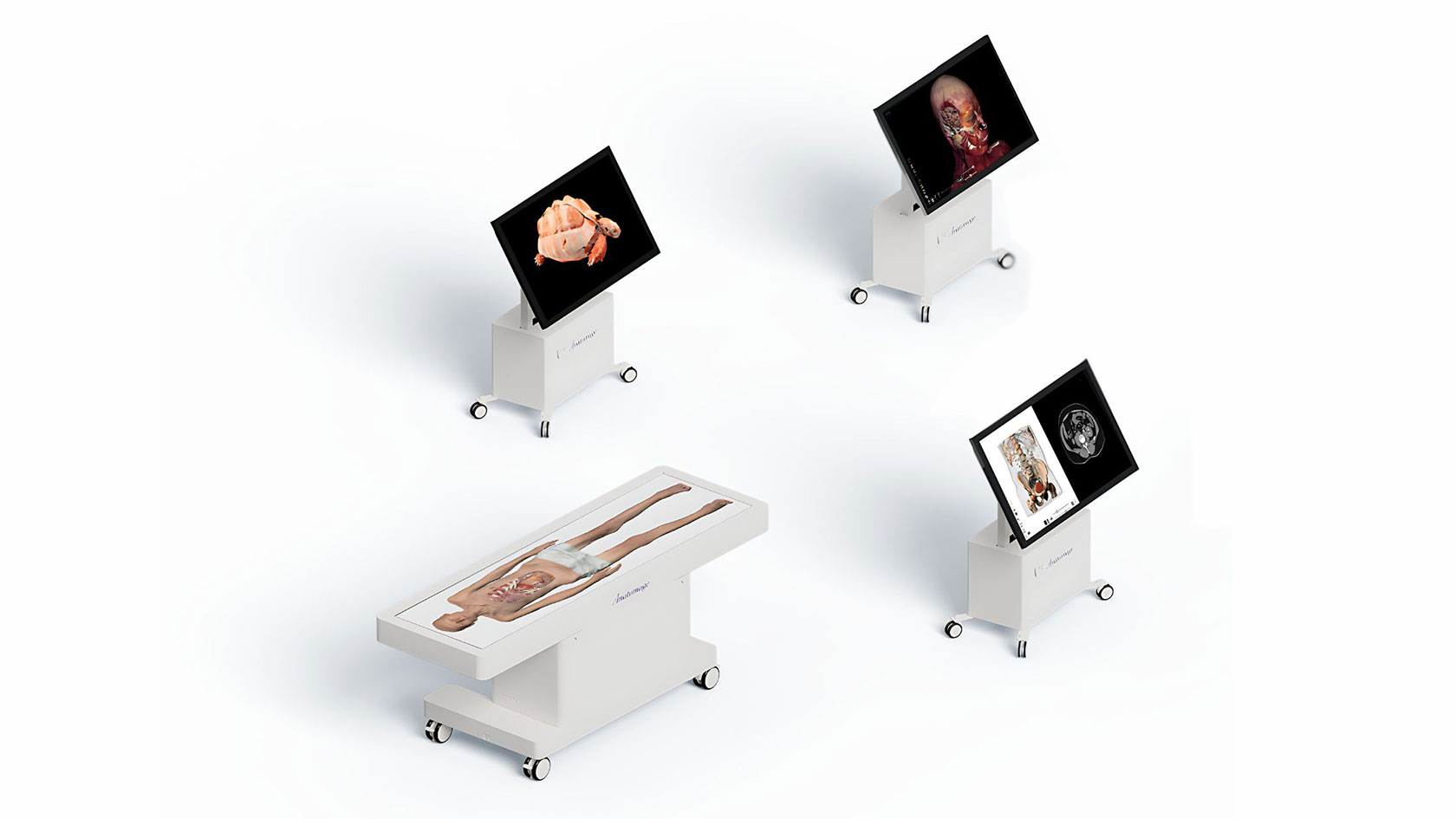 Anatomage is the leader in advanced 3D medical visualization technology